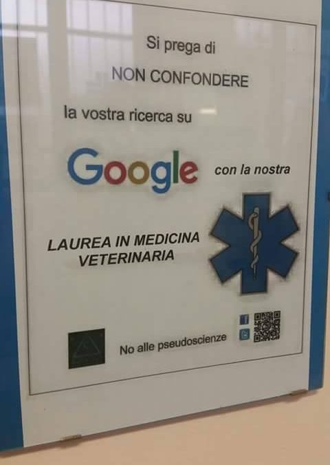 Notizie1