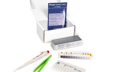 Vaccinazioni e valutazione del sistema immunitario